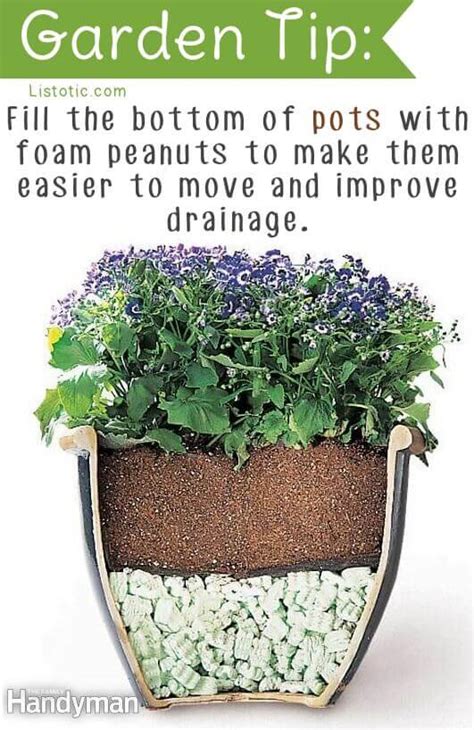 21 Truly Genius Gardening Tips And Ideas Spaceships And Laser Beams