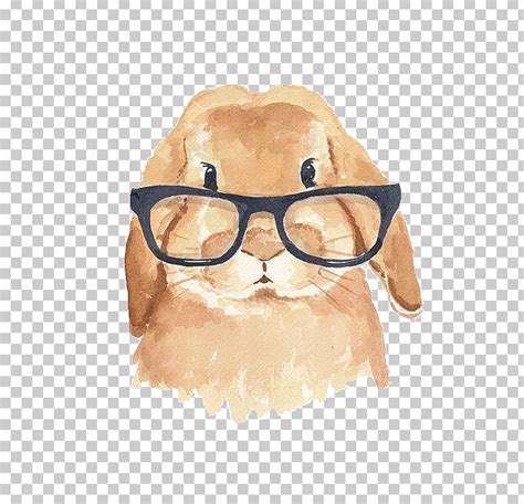 Holland Lop The Rhyming Rabbit Hipster Png Animal Animals Art