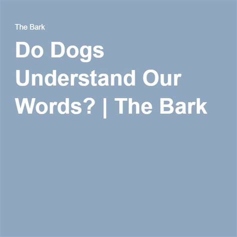Do Dogs Understand Our Words Words Understanding Dogs