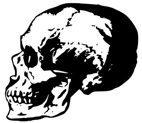 Onlinelabels Clip Art Creepy Side Skull
