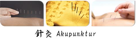 Tcm Praxis Dr Ma In Cham Zug Für Akupunktur Und Traditionelle Chinesische Medizin
