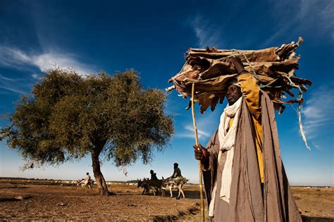 Timbuktu Projects Timbuktu Mali African Nations Region