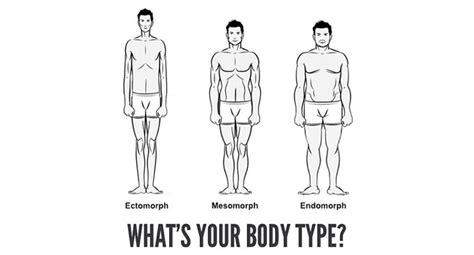 Body Types Ectomorph Vs Mesomorph Vs Endomorph