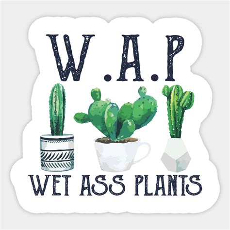 Wap Shirt Cactus Shirt Wet Ass Plants Funny Cactus Lovers Cactus Sticker Teepublic