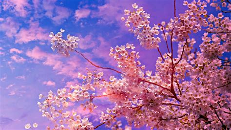 Pink Blossom Tree Wallpaper Cheep Heart Streamaed