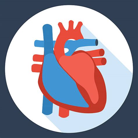 Heart Disease Illustrations Royalty Free Vector Graphics And Clip Art