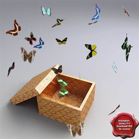 3d Butterfly Box
