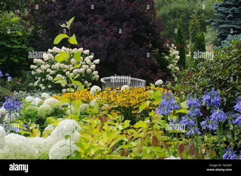 Traditional English Garden With Seat Stock Photo Alamy