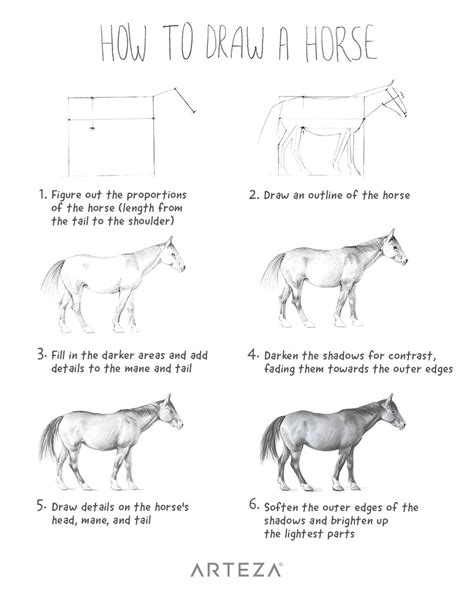 How To Draw A Horse Step By Step Drawing Instructions For Beginners And