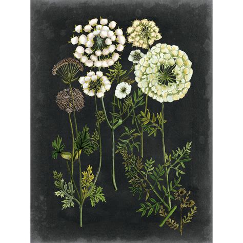 White Flowers On Black Canvas Wall Art 18 X 24 At Home