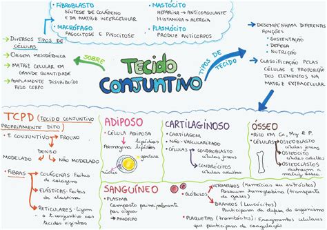 Pin De Segredo Disa En Estudos Biología Celular Fisiología Biologia