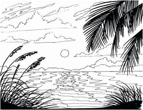 Tropical Coloring Pages For Adults Fresh Beach Scene Printable Coloring
