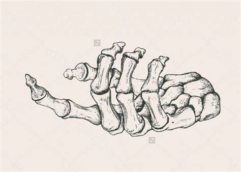Huesos Skeleton Drawings Skeleton Art Skeleton Hands Drawing