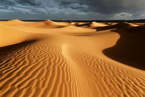 The Sahara Desert A Life Well Lived