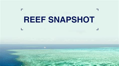 What Is The Reef Snapshot Great Barrier Reef Marine Park Authority