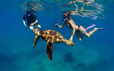 Scuba Diving Waikiki Honolulu Oahu North Shore Banzai Divers Hawaii Snorkel Tours