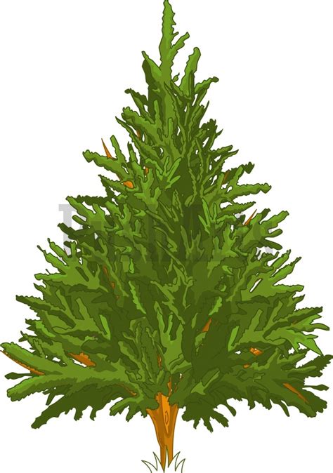 Pine Tree Clipart Panda Free Clipart Images