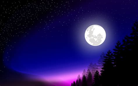 Image Vectorielle Dillustration De Nuit De Pleine Lune Dans La Forêt