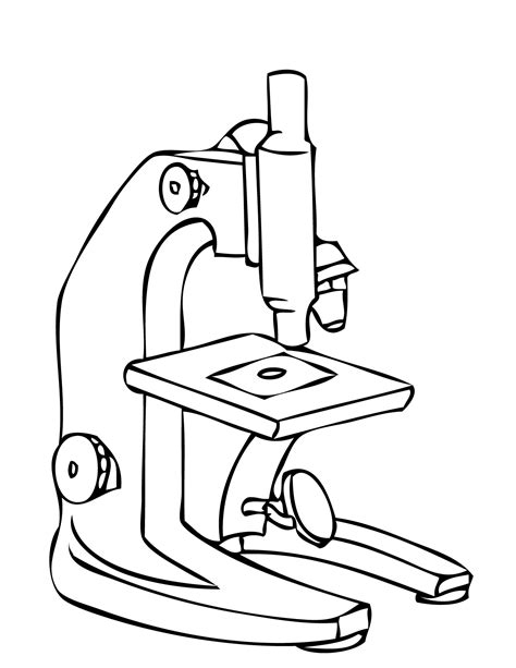 Микроскоп Картинка Для Распечатки С Подписями Telegraph