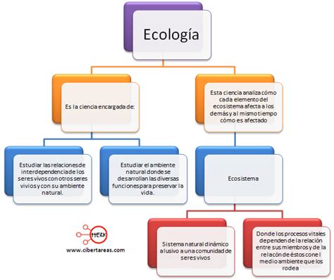 Ecolog A