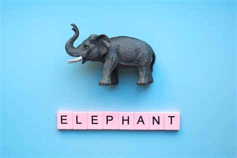 Elefante De Juguete Sobre Un Fondo Azul Con La Palabra Elefante Foto