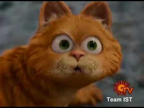 Garfield Tamil Dubbed Movie Baldcirclevital