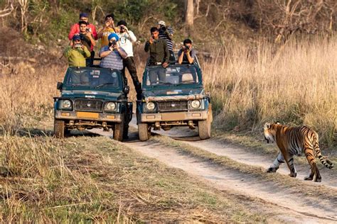 Best Time To Visit Ranthambore National Park