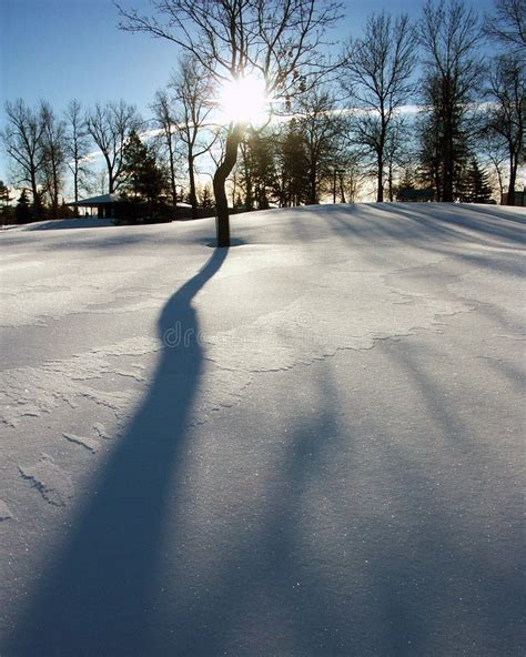 Snow Shadow Stock Photo Image Of Snowscape Winter Freezing 201438