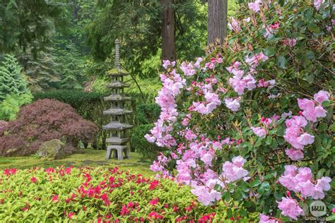 Get Back Into Nature This Spring At Portland Japanese Garden