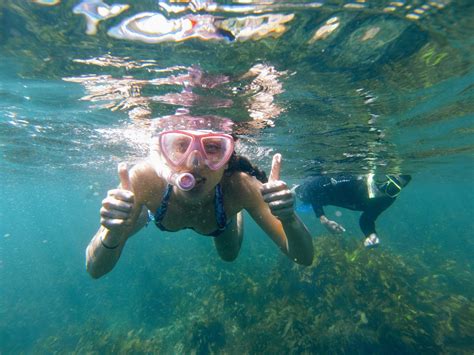 Manly Snorkeling Tour Ecotreasures Sydney