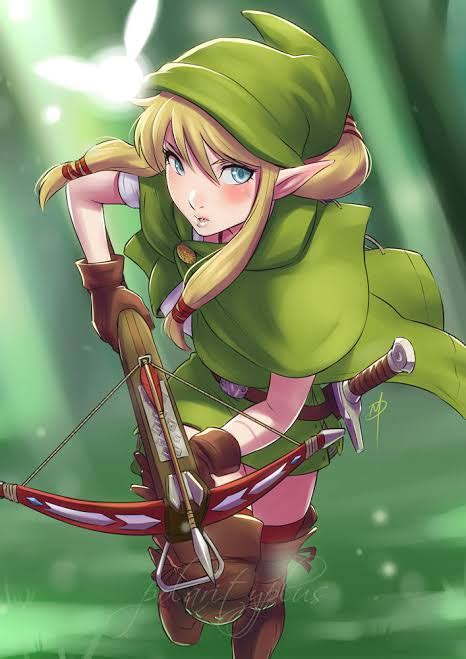Linkle Is Definitely One Of The Best Parts Of The Game Love Her Story