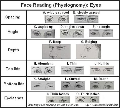 Face Reading Physiognomy Eyes Since Eyes Are The Primary Sensory