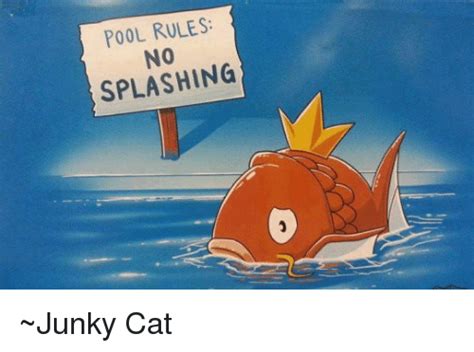 Pool Rules Splashing ~junky Cat Cats Meme On Sizzle