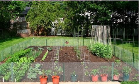 Vegetable Garden Ideas For Backyard Historyofdhaniazin95