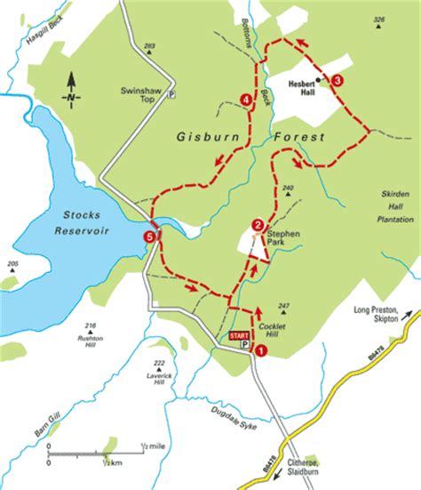 Gisburn Forest - Bike Rides - The AA