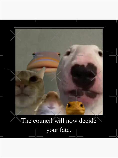 The Council Will Now Decide Your Fate Poster For Sale By Pigsucculent