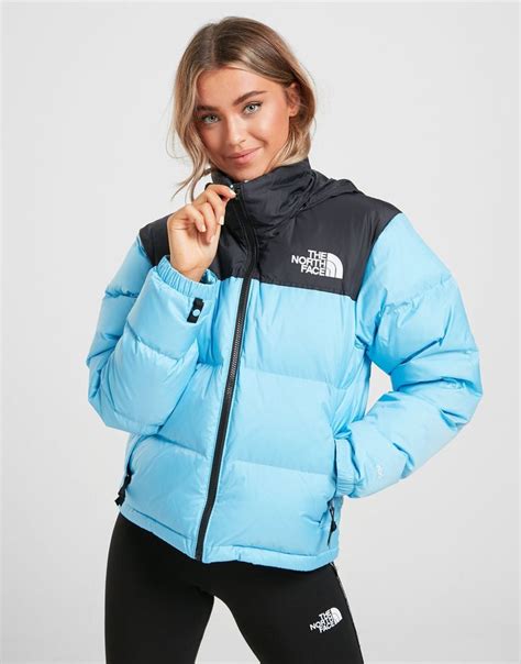 Shop Online For The North Face Nuptse Down Jacket In 37128 Hot Sex