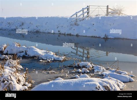 Heavy Snow On The River Brue Stock Photo Alamy