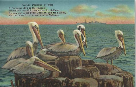 Key15 Vintage Postcard Vintage Florida Postcard