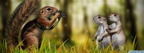 Funny Animals 3 Facebook Cover Timeline Photo Banner For Fb
