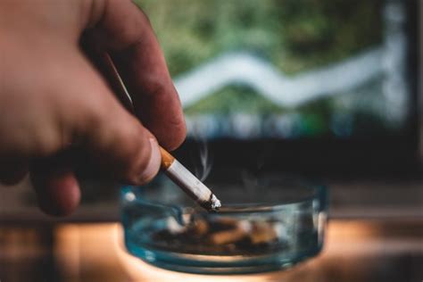 how does smoking affect gums and teeth your dental health resource