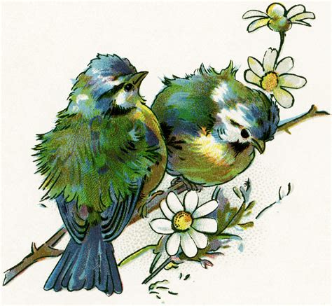 Pair Of Birds Perched On A Branch Old Design Shop Blog