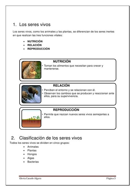 Actividades Para Trabajar Las Funciones Vitales De Los Seres Vivos Images