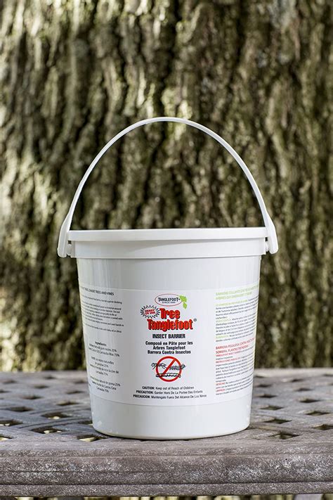 Buy Tree Tanglefoot Insect Barrier Tub 15 Oz Online At Lowest Price