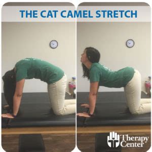 How to do the cat camel stretch. The Therapy Center | Therapy Center Stretch Tip: Cat-Camel