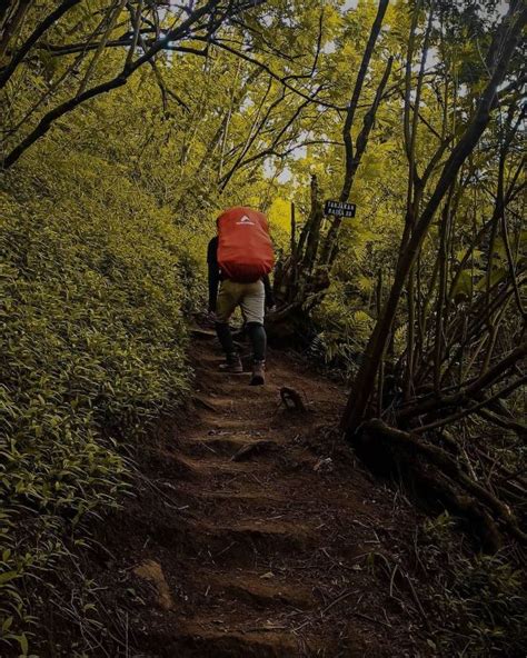 Pendakian Gunung Lorokan Mojokerto Dan Biayanya KATA OMED