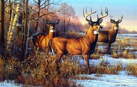 Artist Cynthie Fisher Unframed Whitetail Deer Art Print Cautious