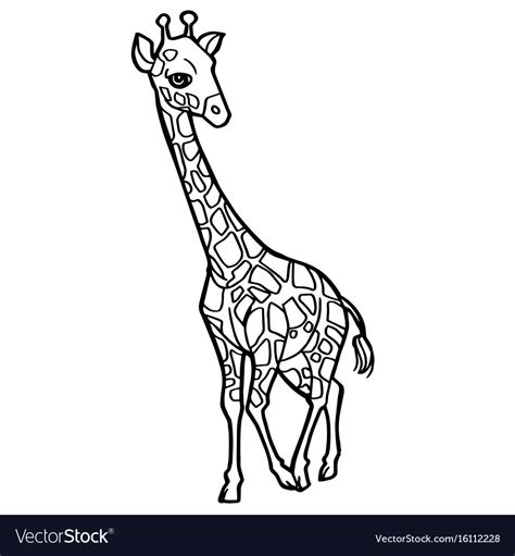 Cartoon Cute Giraffe Coloring Page Royalty Free Vector Image