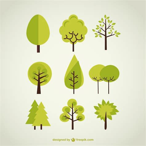 Tree Vectors Photos And Psd Files Free Download