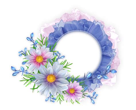 Blue And Pink Round Transparent Frame With Flowers Photo Frame Images
